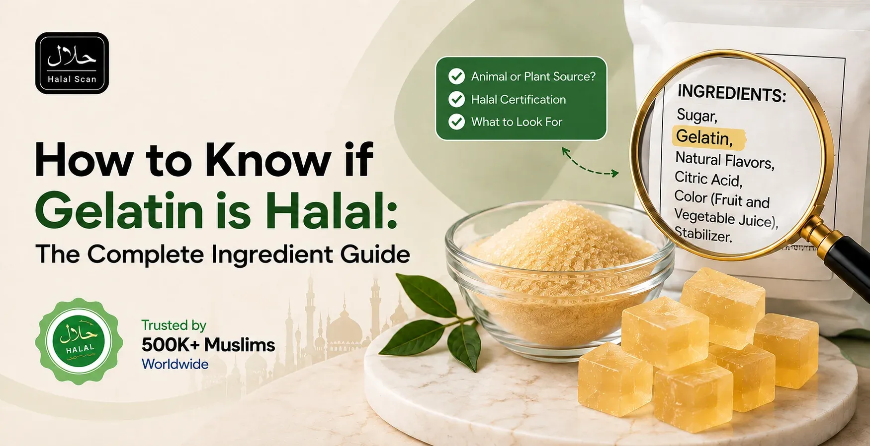 How to Know if Gelatin is Halal: The Complete Ingredient Guide