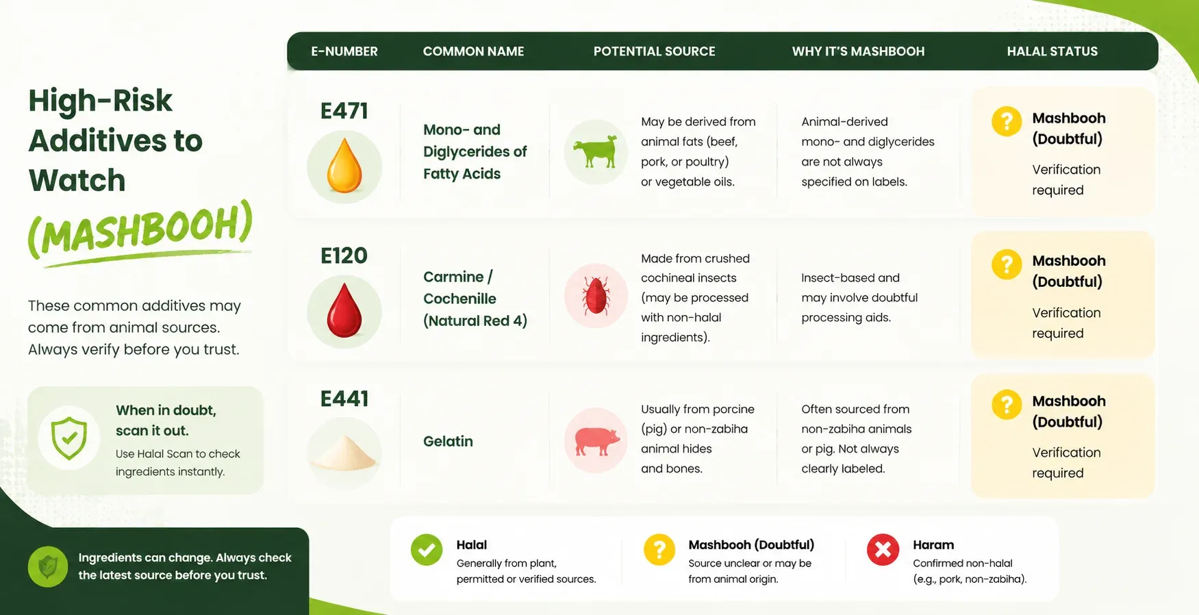 Chart showing common doubtful E-numbers like E471, E120, and E441 requiring halal verification